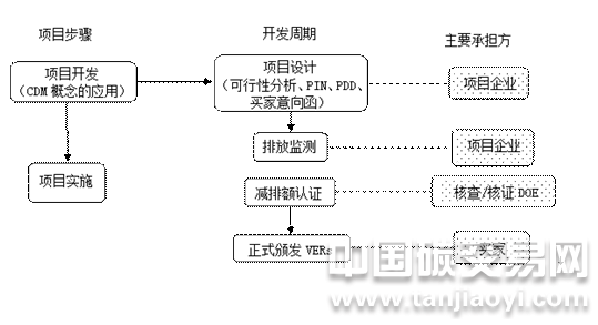 “VER項目的實施流程圖”